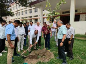 Van Mahotsav Celebration